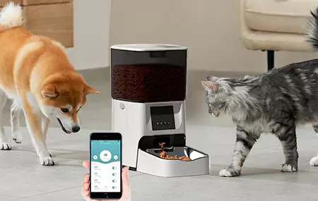 Prinsipe fan automatyske pet feeder