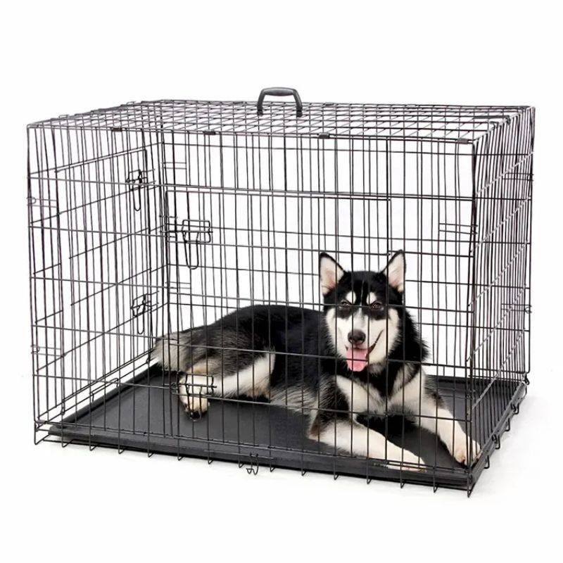 Fet opfolde pet Cage